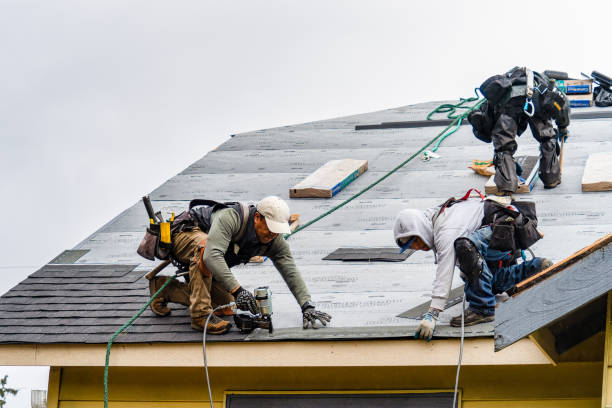 Professional Gutter Installation technician working in Dry Ridge, KY